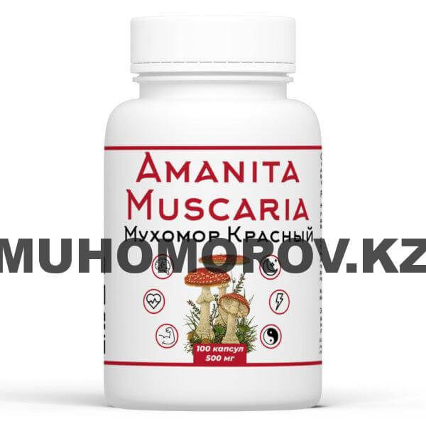 Мухомор красный Микродозинг в капсулах с доставкой по Казахстану